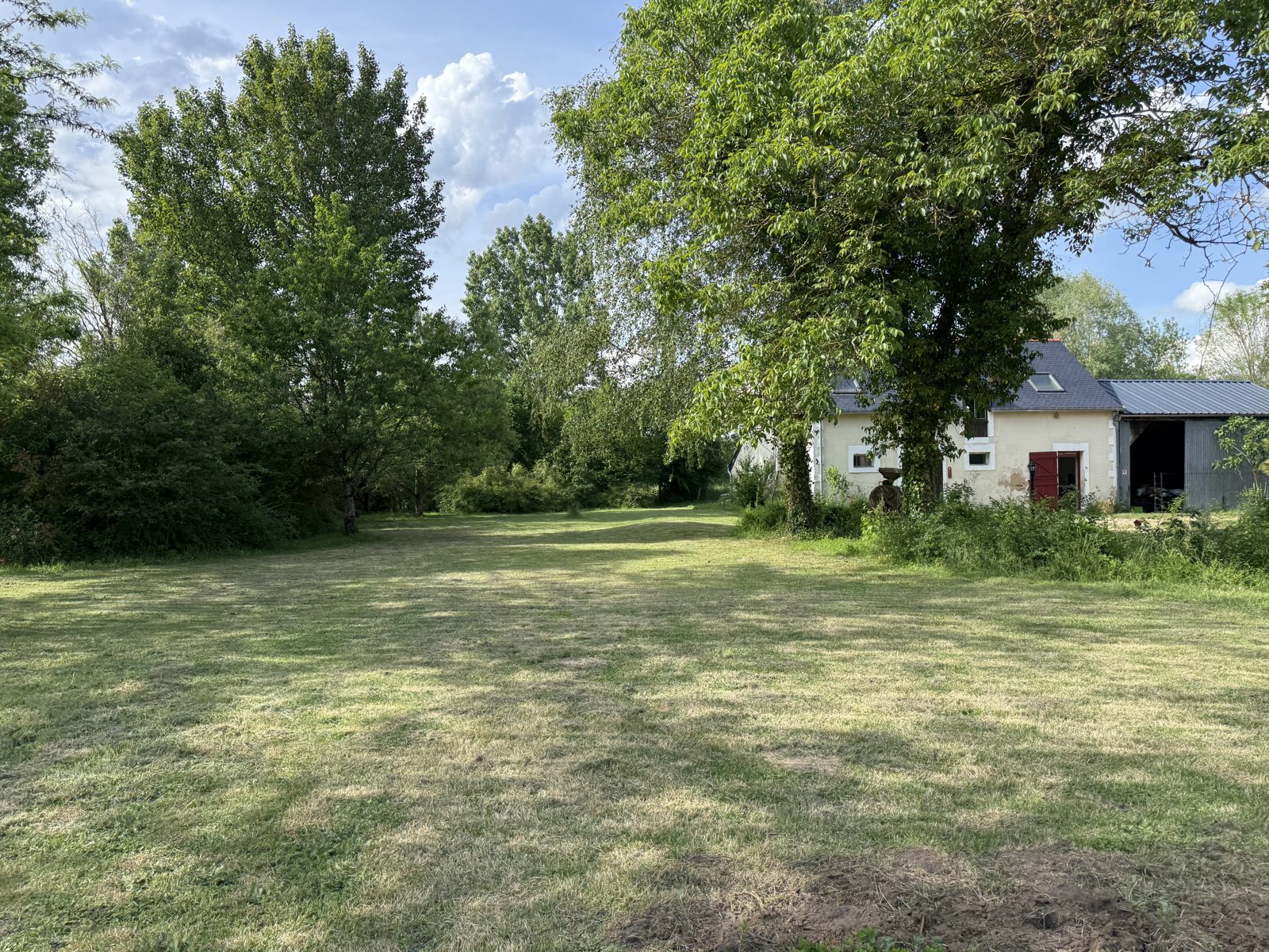 Les 2 hectares de nature privée du gîte à Baugé-en-Anjou