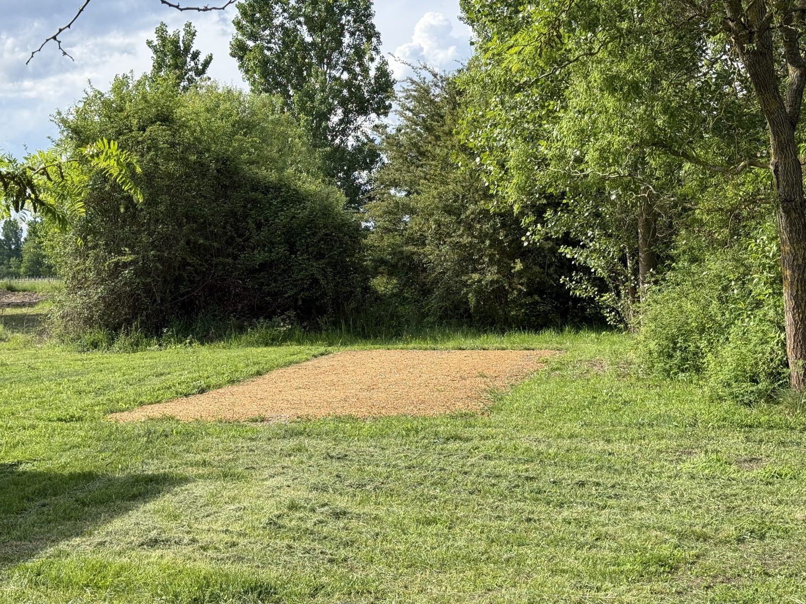 Étang privé sur les 2 hectares du gîte en Anjou