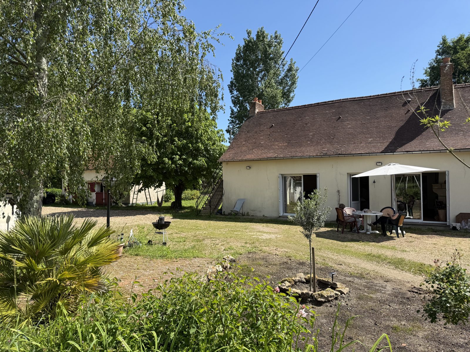 Jardin et 4000 m² de gazon entretenu du gîte